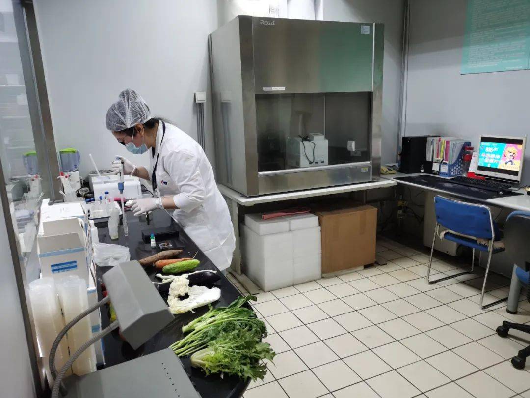 克井镇食品检测实验室装修方案